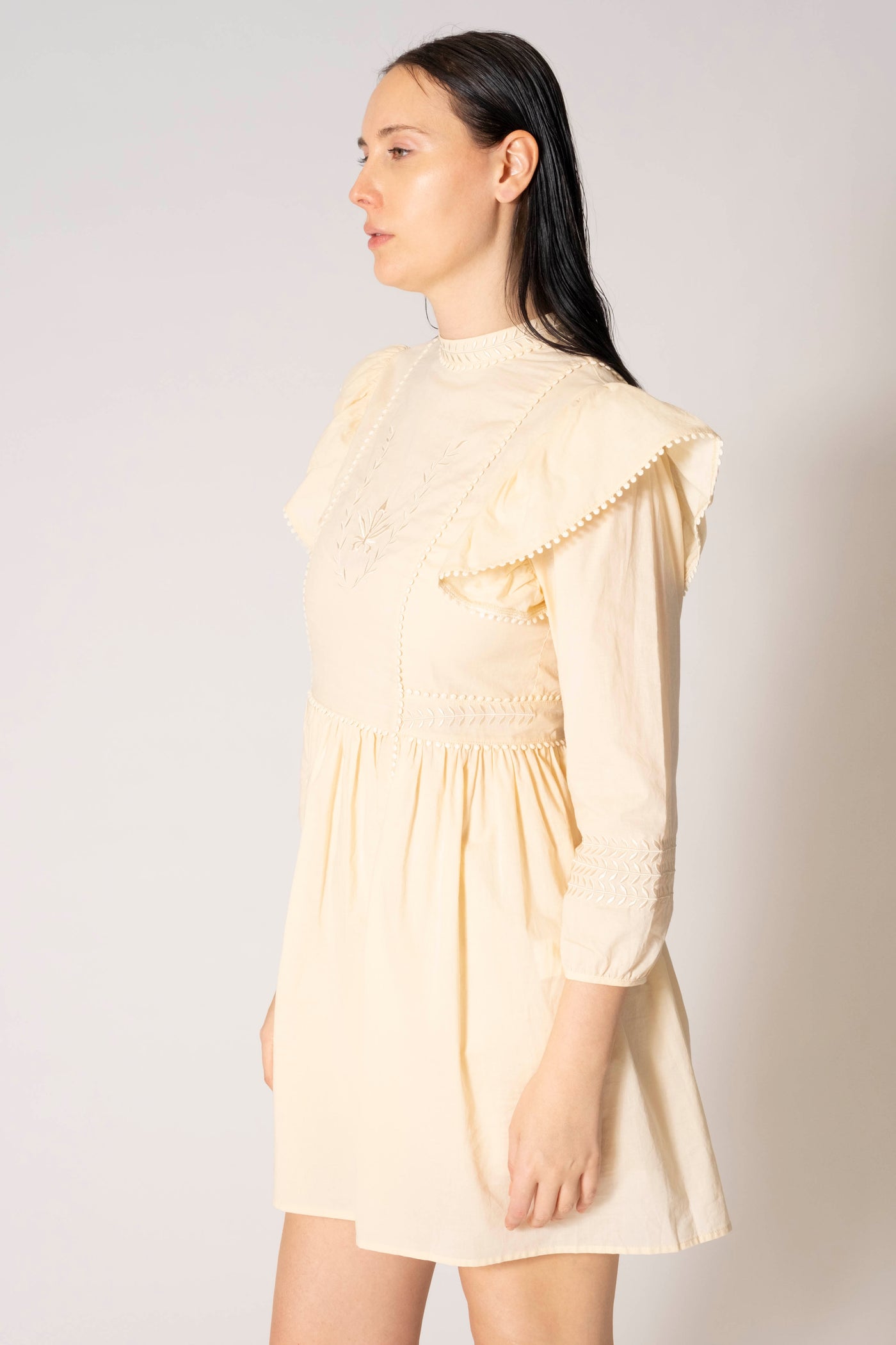 Leigh Embroidered Ruffle Cap Long Sleeve Dress