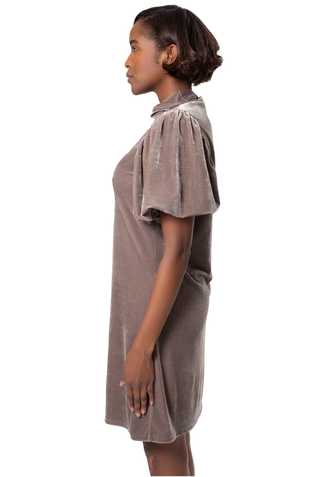 VELVET MOCKNECK DRESS