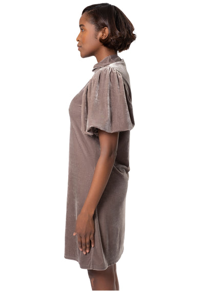 VELVET MOCKNECK DRESS