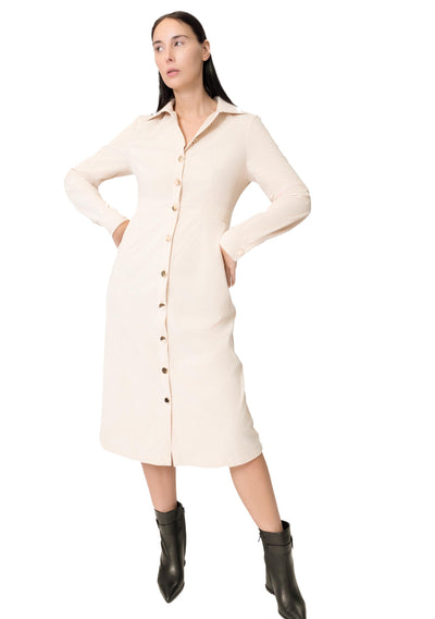 DION DRESS