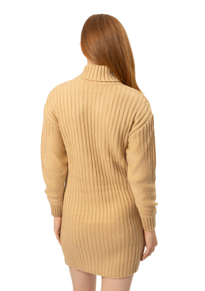 TNECK SWEATER DRESS